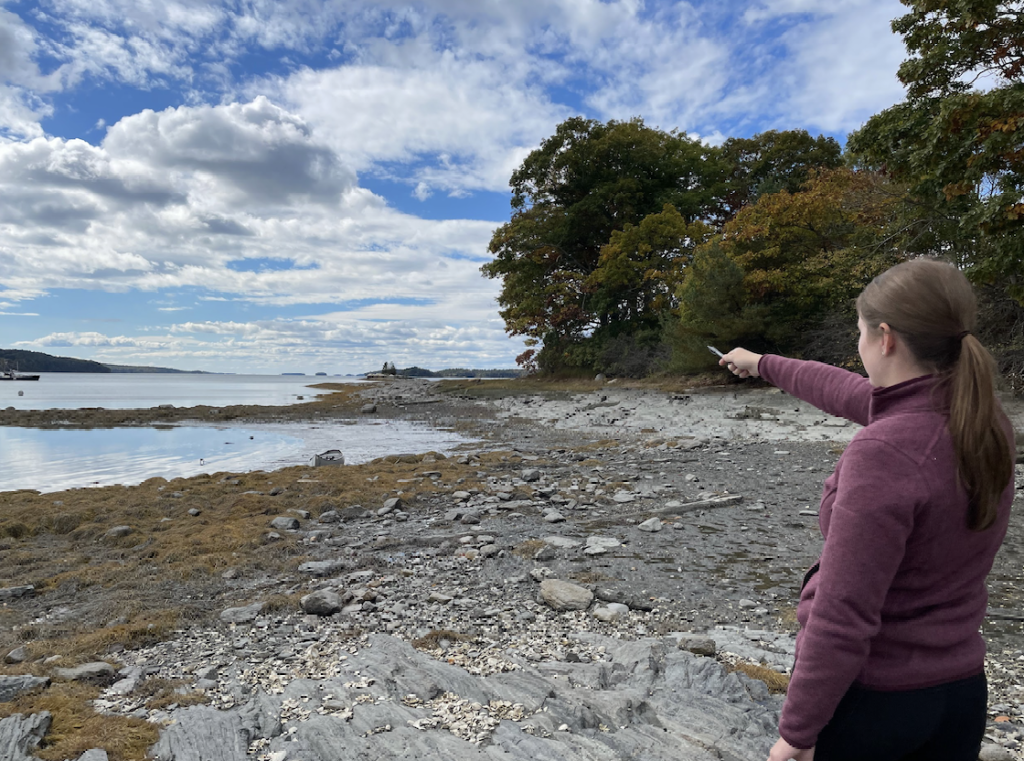 A researcher points to the water holding a pen while standing on a beach. 